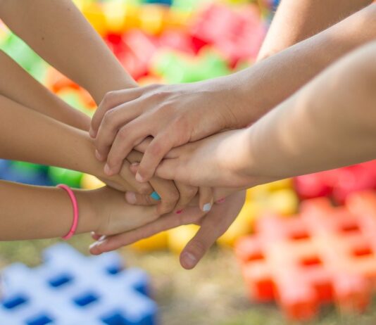 Il Fiore: la Cooperativa di Servizi per persone con disabilità cooperativa sociale e servizi